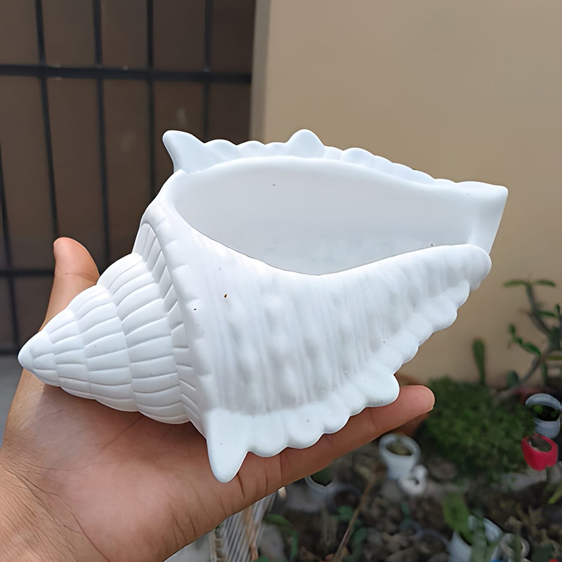 DIY 3D Conch Shaped Silicone C - đánh giá và giá Potsticker Mold